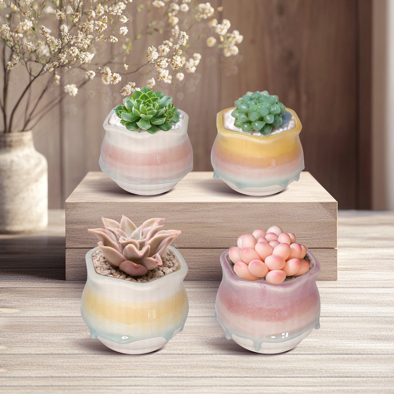 Ceramic Succulent Planter, Candie Mini Planter Pot