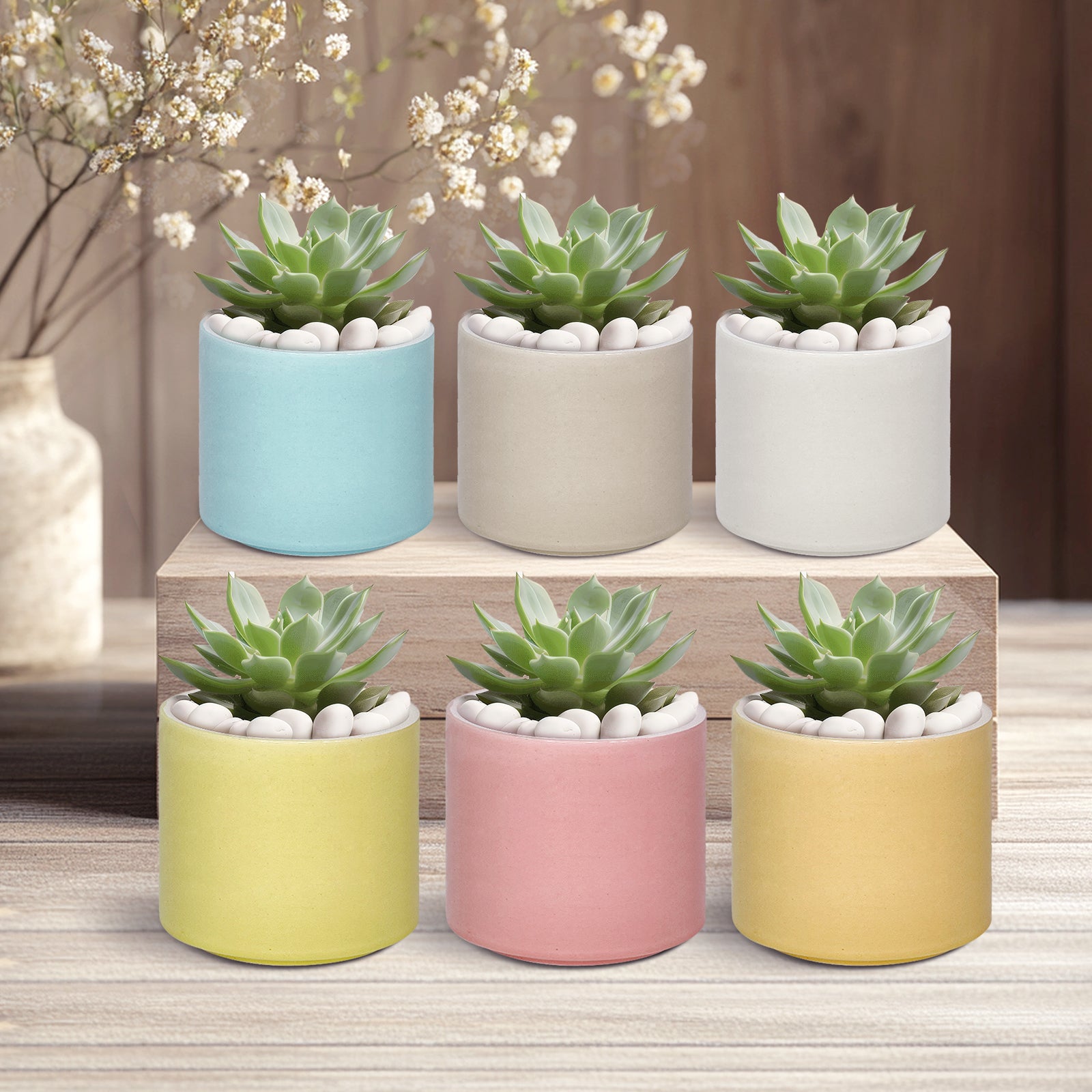 Ceramic Succulent Planter, Minimalist Champagne Ceramic Pots