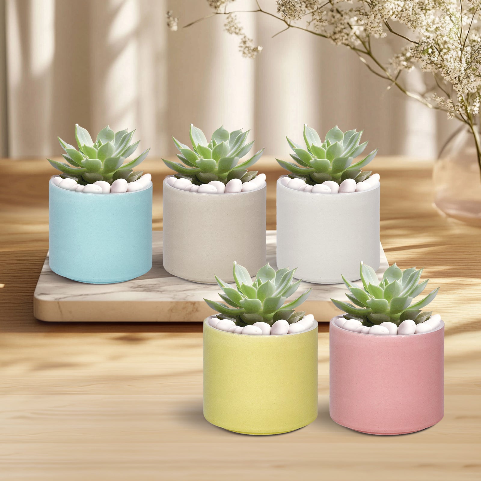 Ceramic Succulent Planter, Minimalist Champagne Ceramic Pots