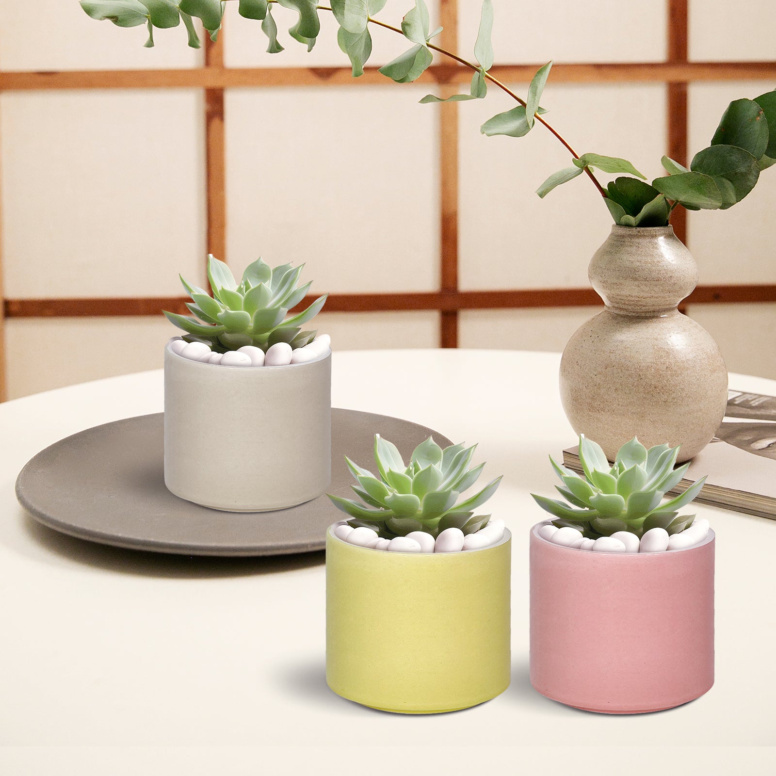 Ceramic Succulent Planter, Minimalist Champagne Ceramic Pots