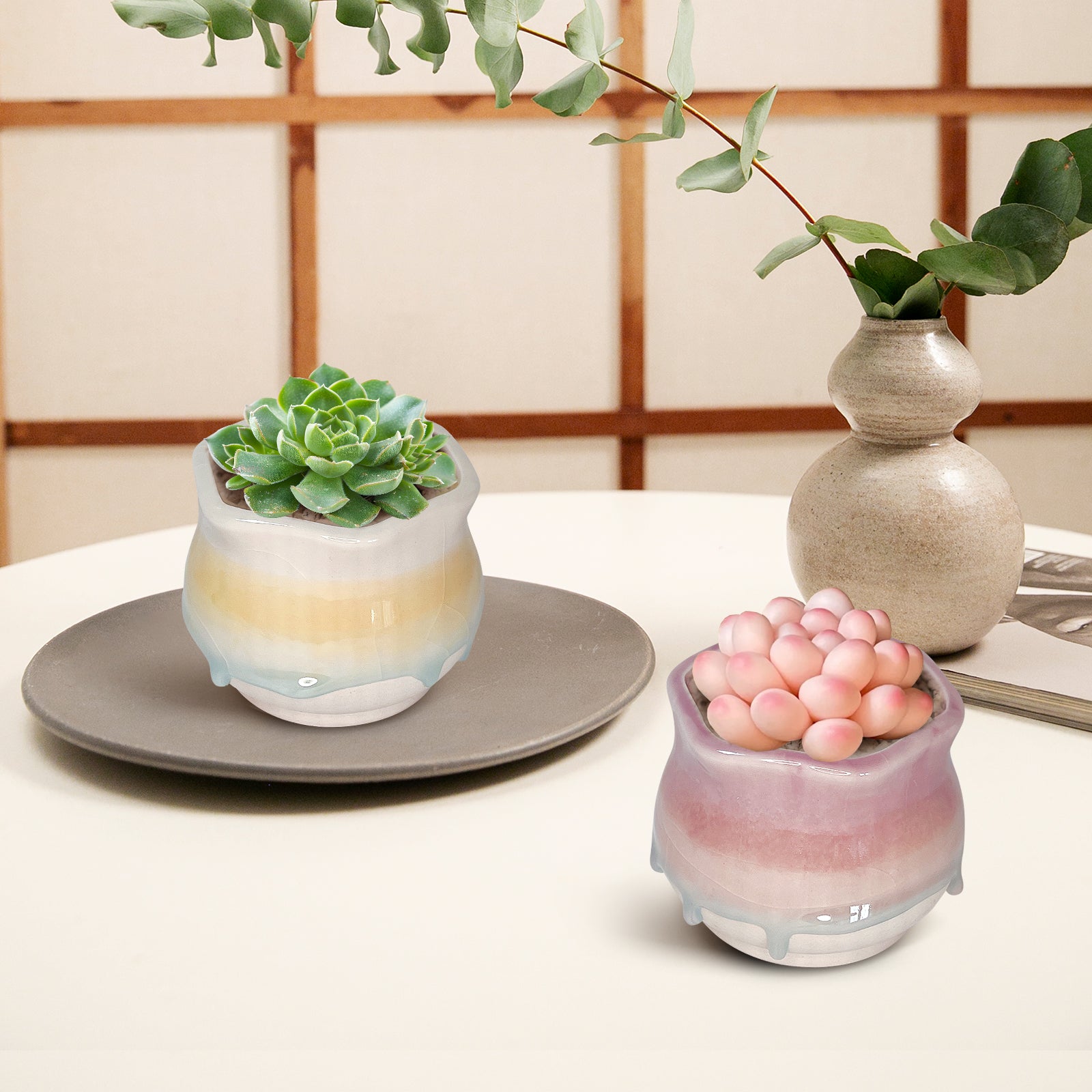 Ceramic Succulent Planter, Candie Mini Planter Pot