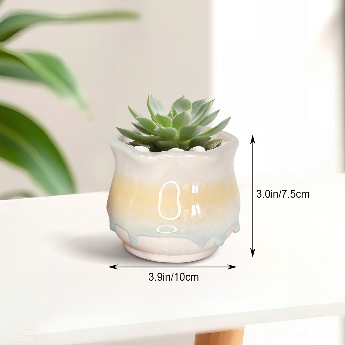 Ceramic Succulent Planter, Candie Mini Planter Pot