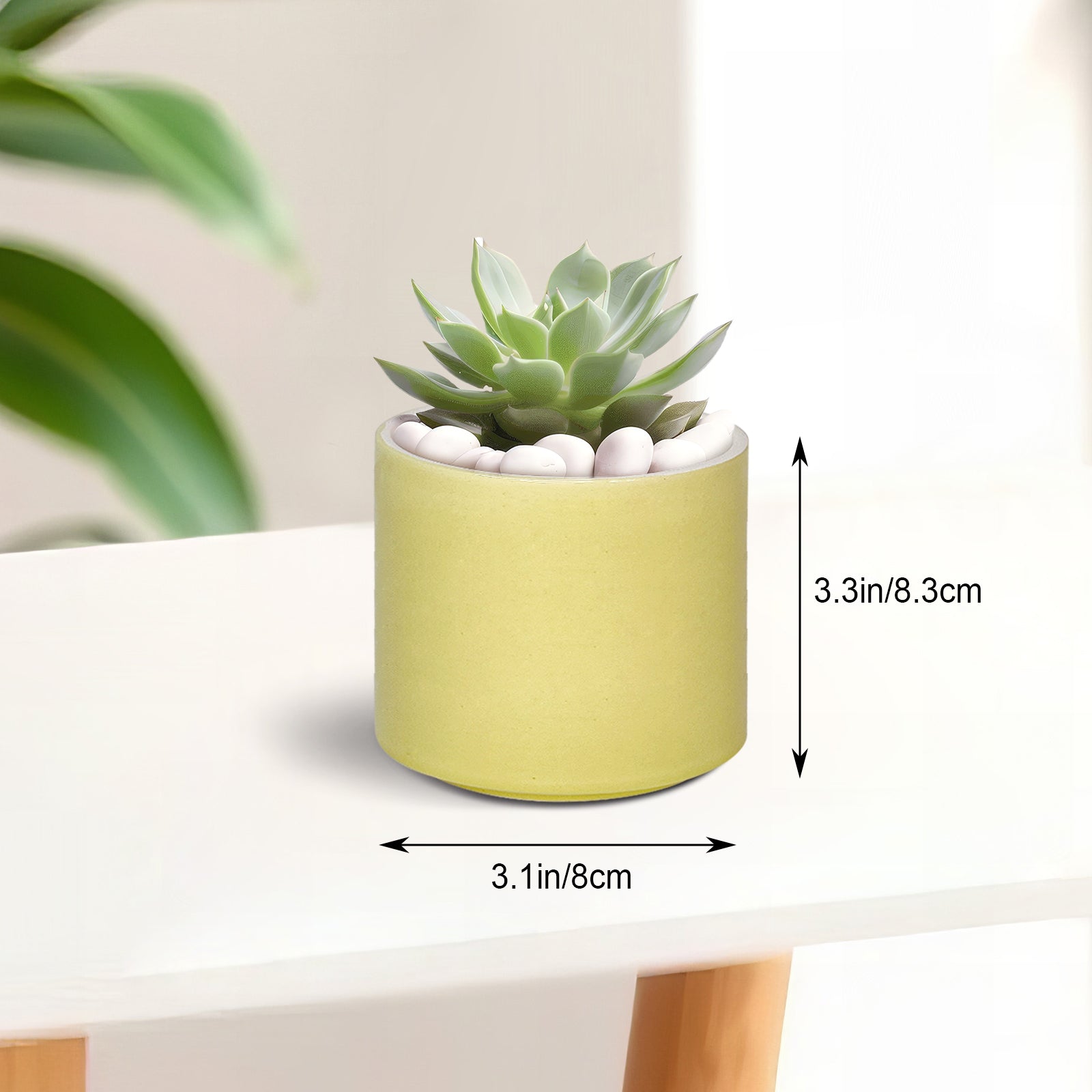 Ceramic Succulent Planter, Minimalist Champagne Ceramic Pots