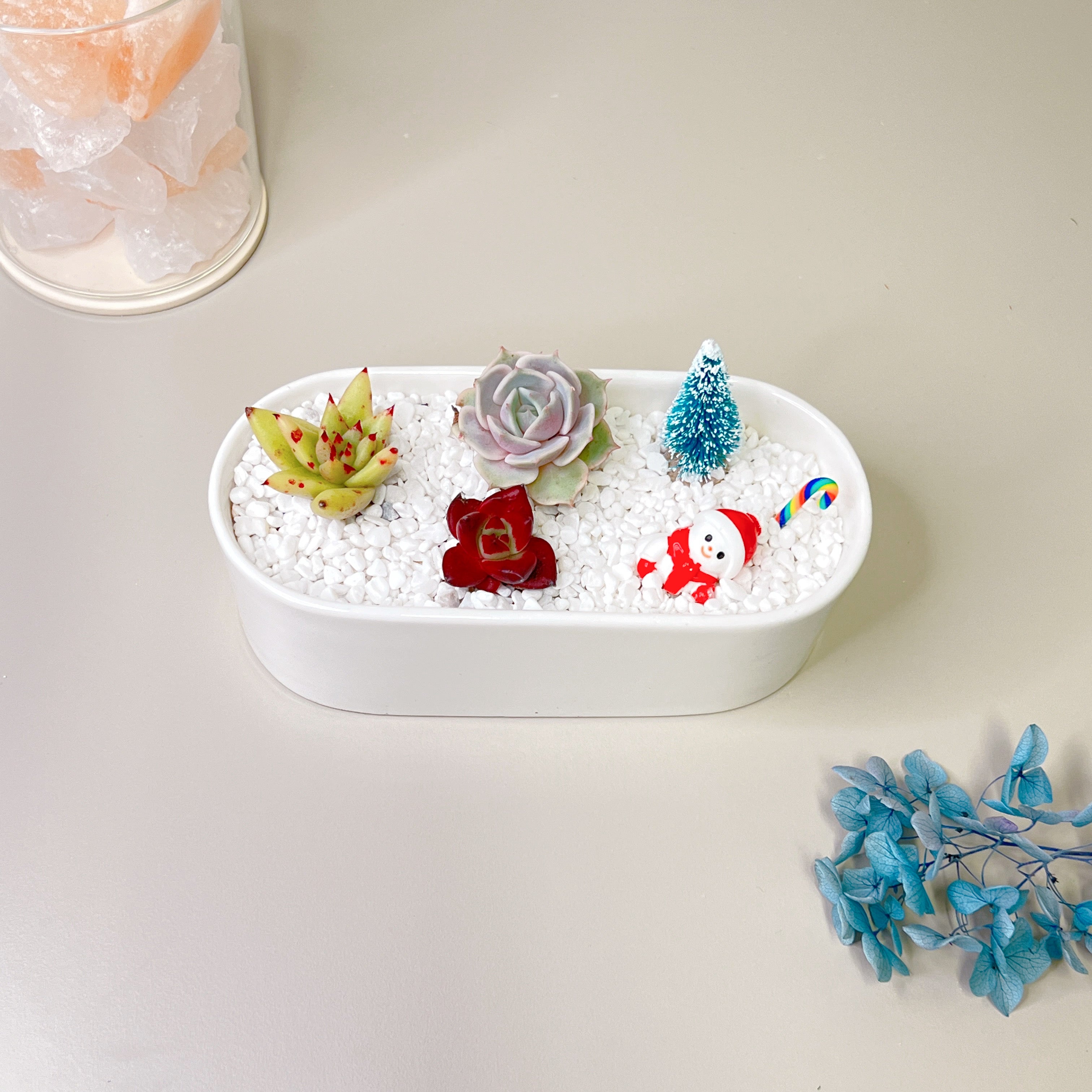 Personalized Succulent Plant Gift Workshop – Design & Take Home Your Unique Creation