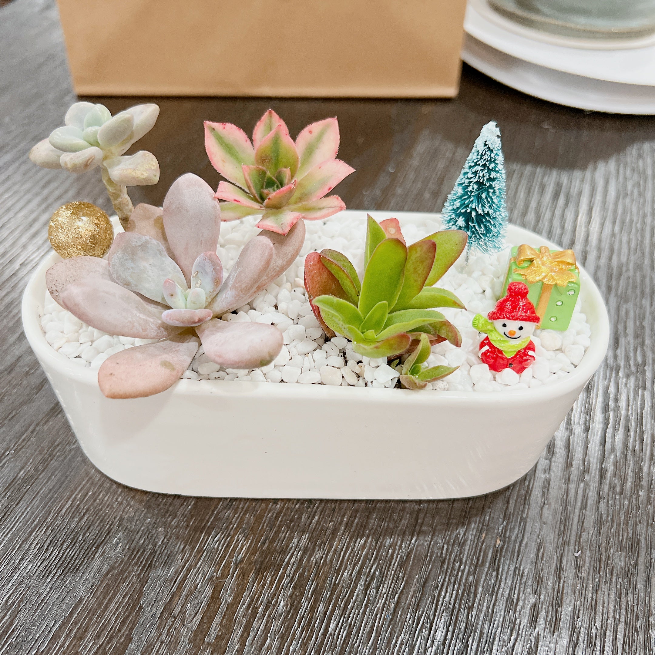 Personalized Succulent Plant Gift Workshop – Design & Take Home Your Unique Creation