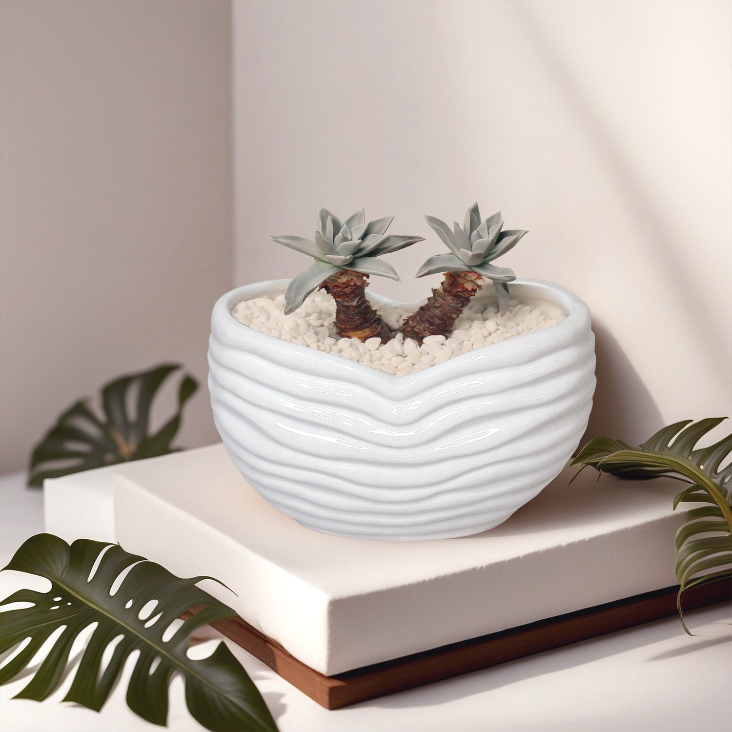 White Sands Plant Pot, Minimalist White Sand Ceramic Planter Pot