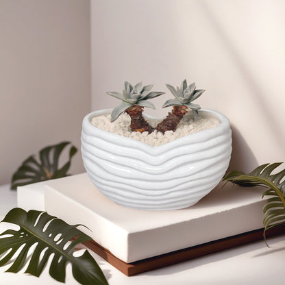 White Sands Plant Pot, Minimalist White Sand Ceramic Planter Pot