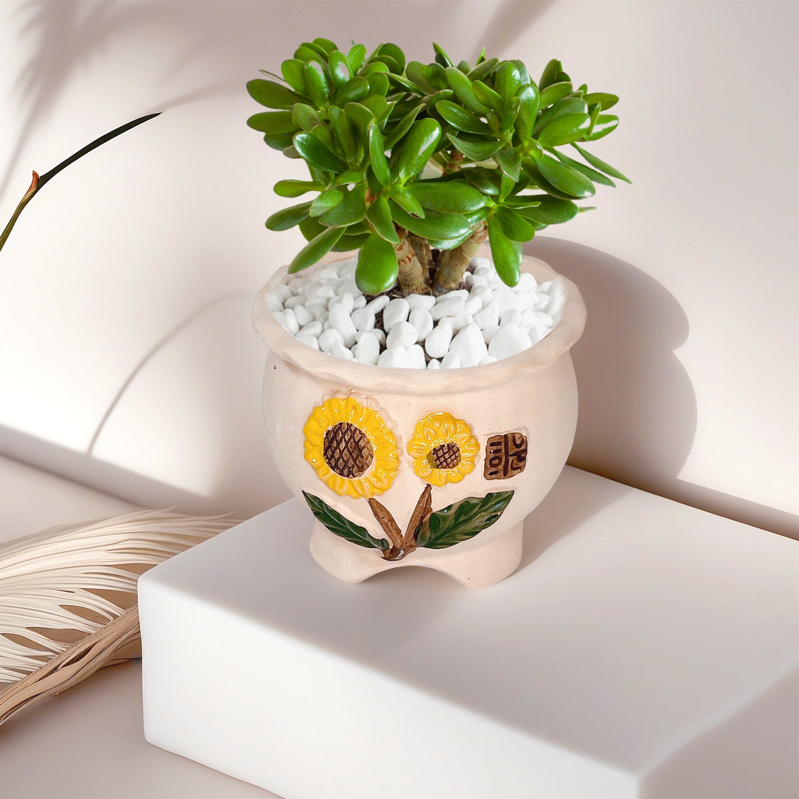 Sunflower Pot Plant, Korean Style Clay Planter Pot, Home Decor
