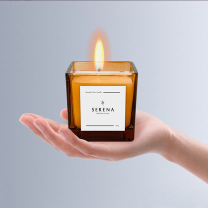 Frosted Candle for Room Decor, Serena Scented Candle (150g)