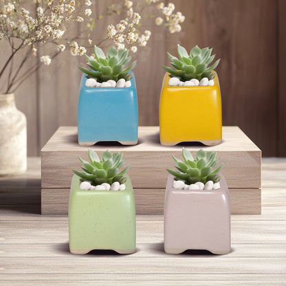 Colorful Clay Planter Pot, Small Clay Plant Pots, Paint Clay Plant Pots