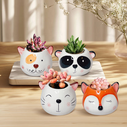 Cute Animal Planters, Unique Ceramic Animal Plant Pots