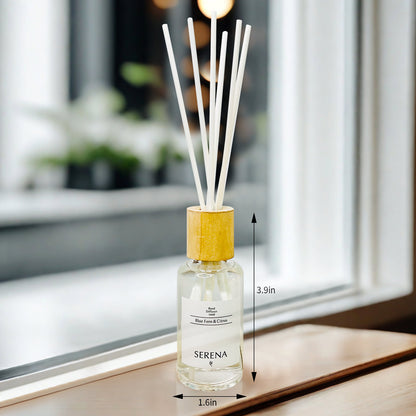 Glass Reed Diffuser for Home Fragrance, Air Freshener (50ml)