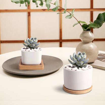 Modern Planter Pot, Pure White Ceramic Planter Pot, Home Decor