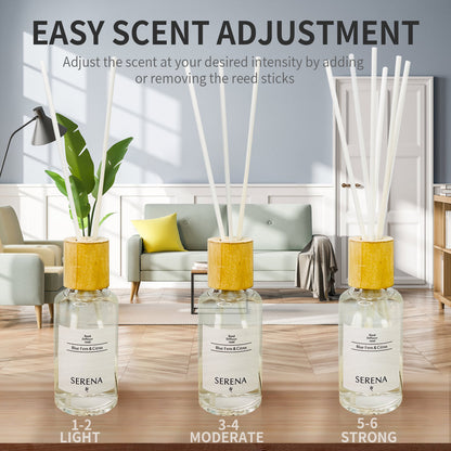 Glass Reed Diffuser for Home Fragrance, Air Freshener (50ml)