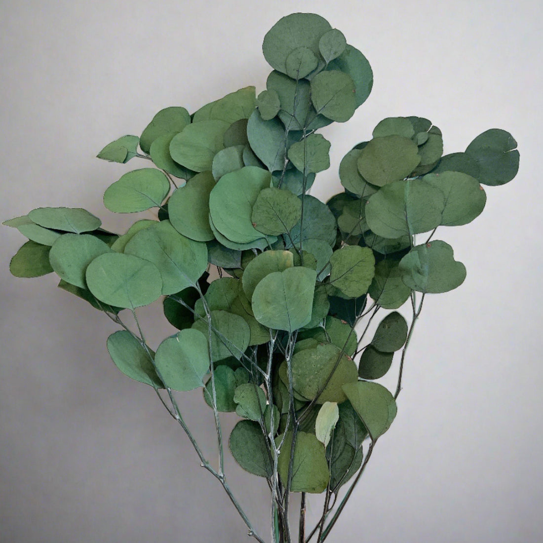 Dried Foliage Decor, L&