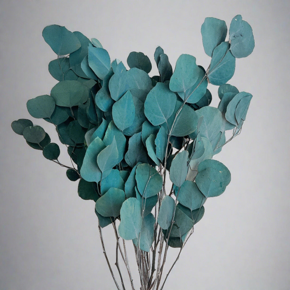 Dried Eucalyptus Arrangement, L&