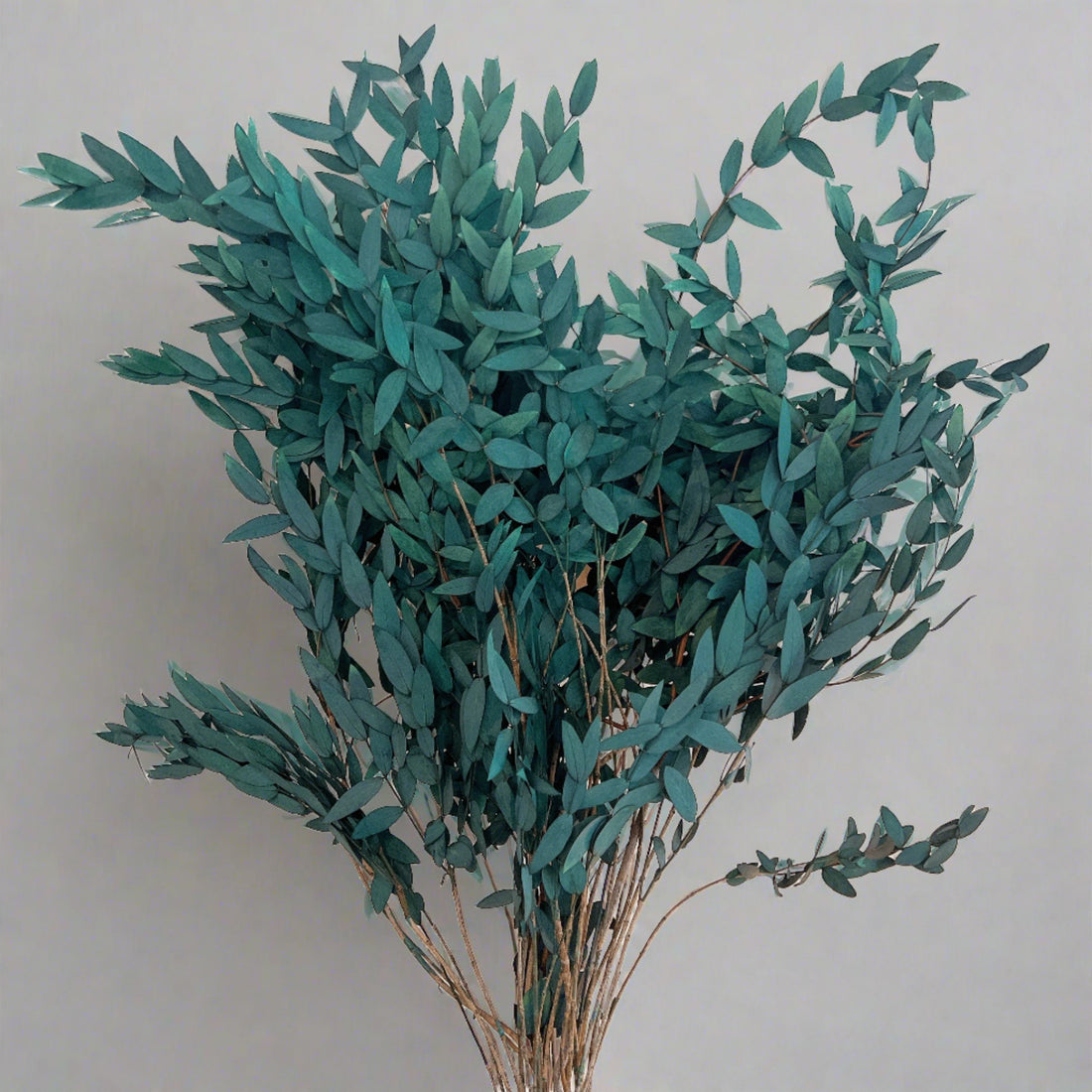 Dried Flower Arrangement, L&