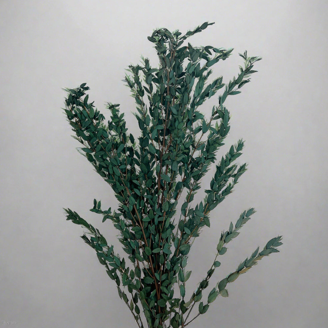 Dry Flower Decor, L&