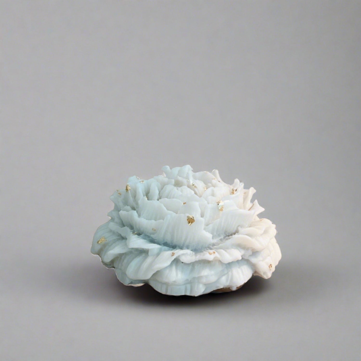 Blossom Candle, L&