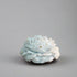 Blossom Candle, L&