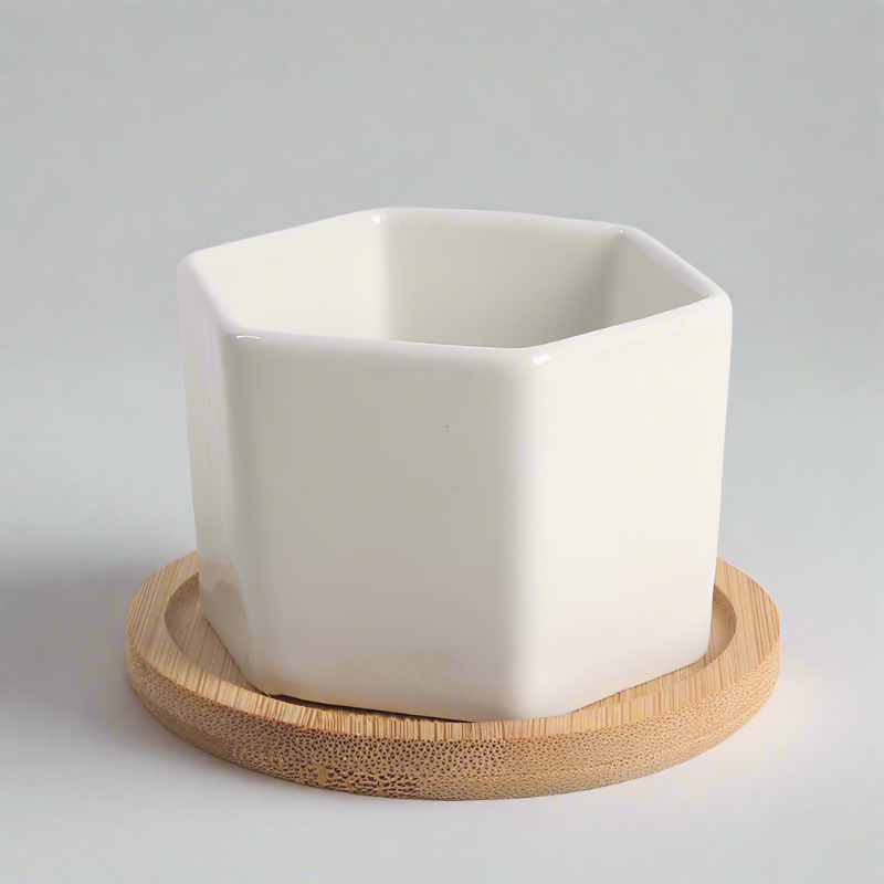 Modern Planter Pot, Pure White Ceramic Planter Pot, Home Decor