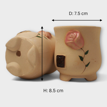 Hand Painted Indoor Plant Pot, Korean Style Ceramic Planter Pot