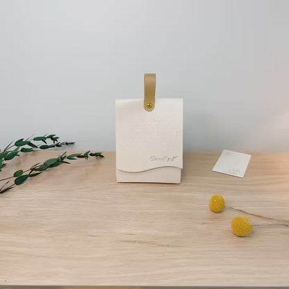 Hand Bag Gift Box, Set of 10 Premium Hand Bag Gift Box