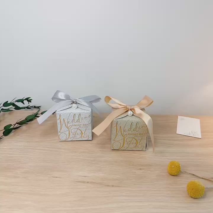 Gift Bag With Bow, Premium Plastic Gift Bag, Wedding Gift, Set of 10